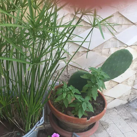 Casa Vacanze Le Rose Marina di Ragusa